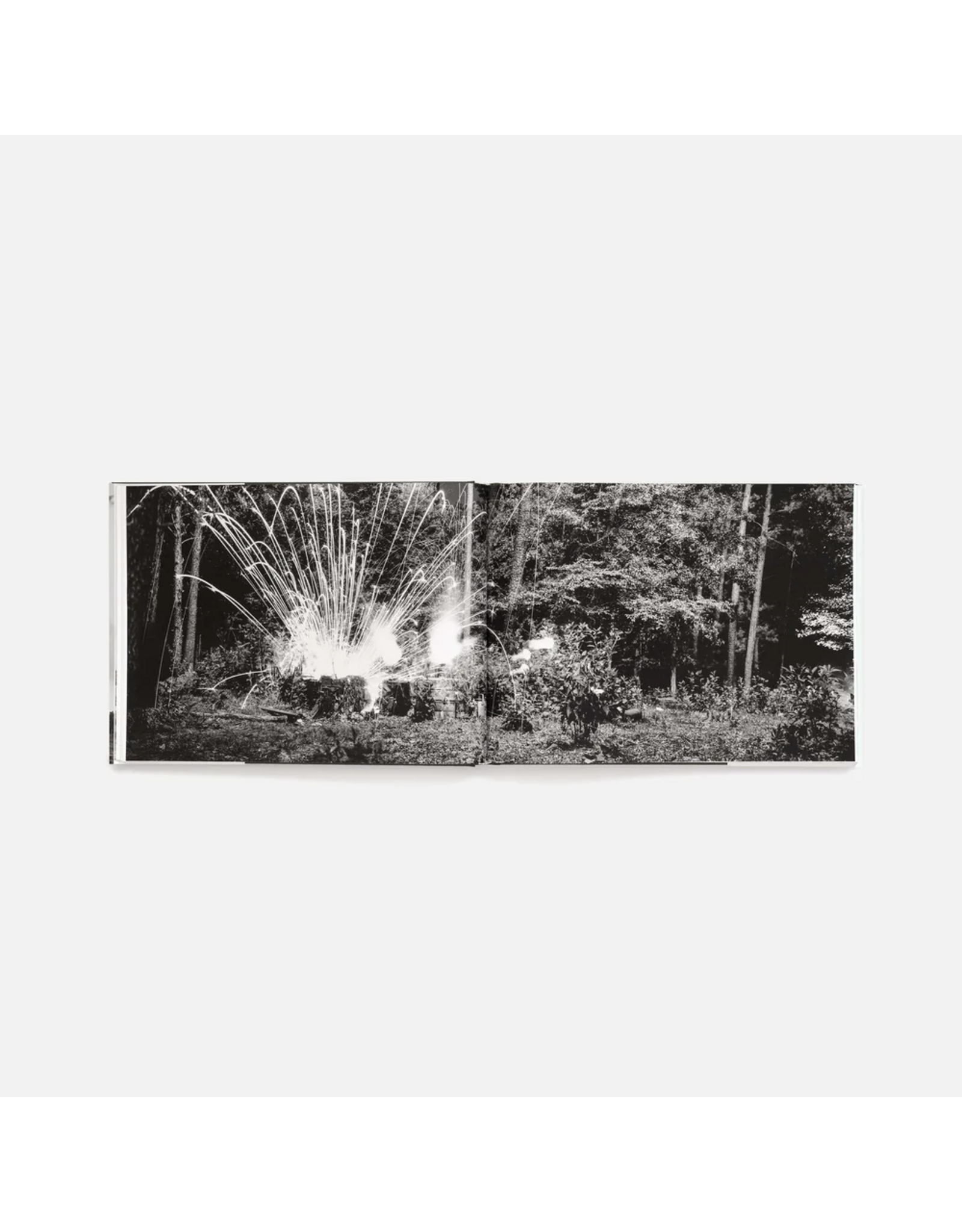 Aperture An-My Lê: Small Wars