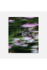 Aperture Zora Murff: True Colors (or, Affirmations in a Crisis)
