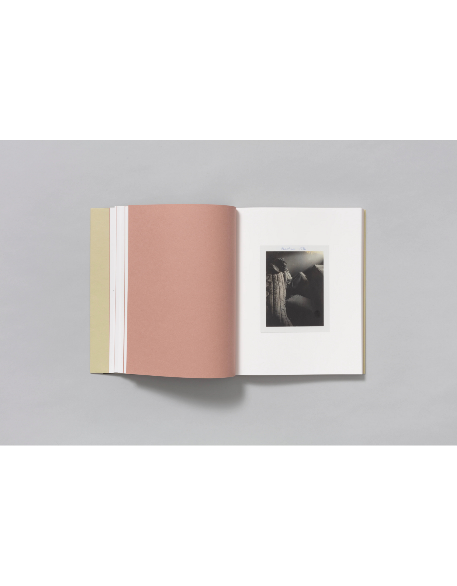 TBW Books Carla Williams: Tender