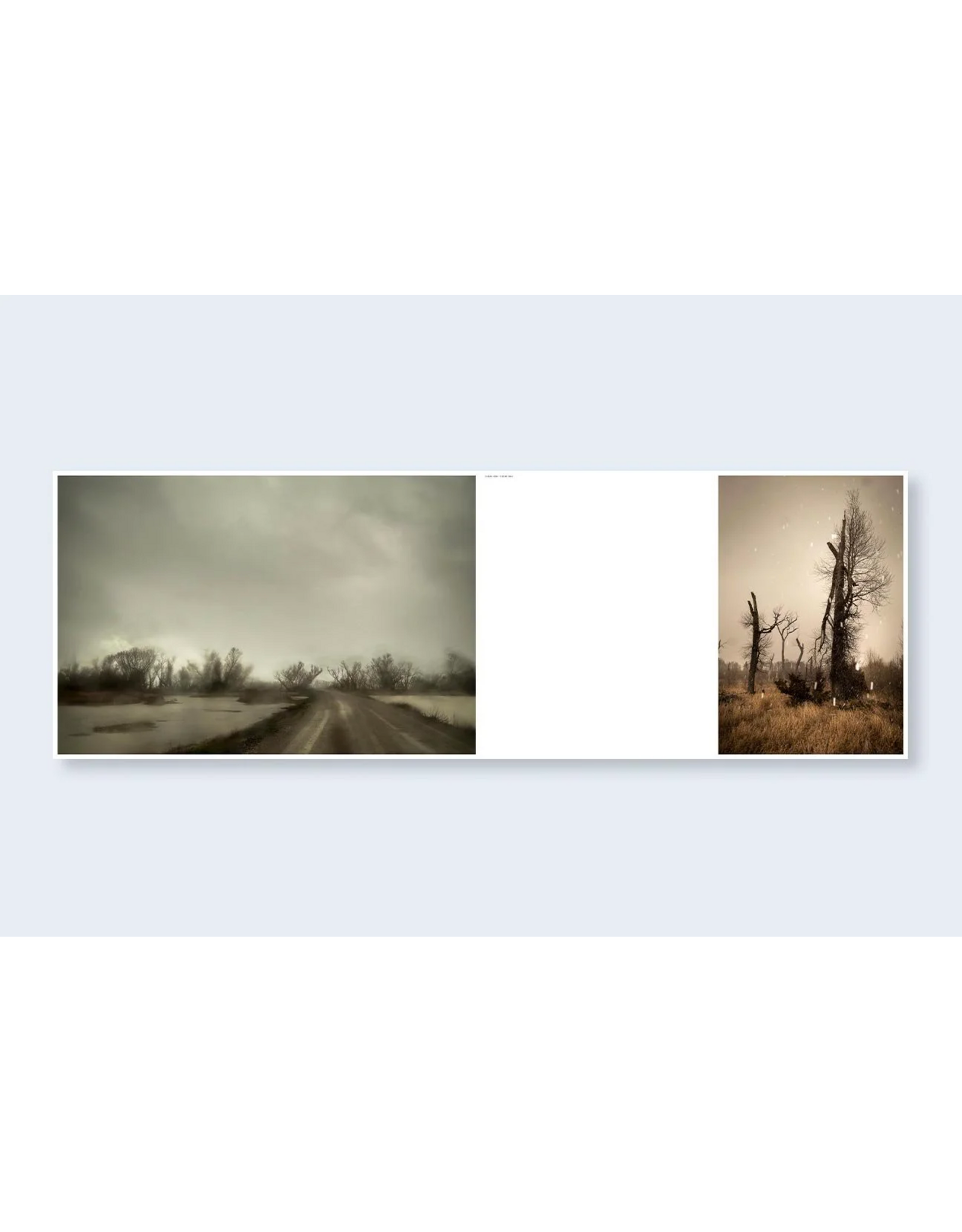 Nazraeli Press Todd Hido: The End Sends Advance Warning