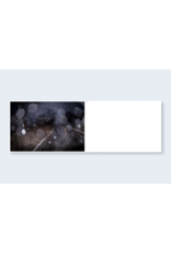 Nazraeli Press Todd Hido: The End Sends Advance Warning