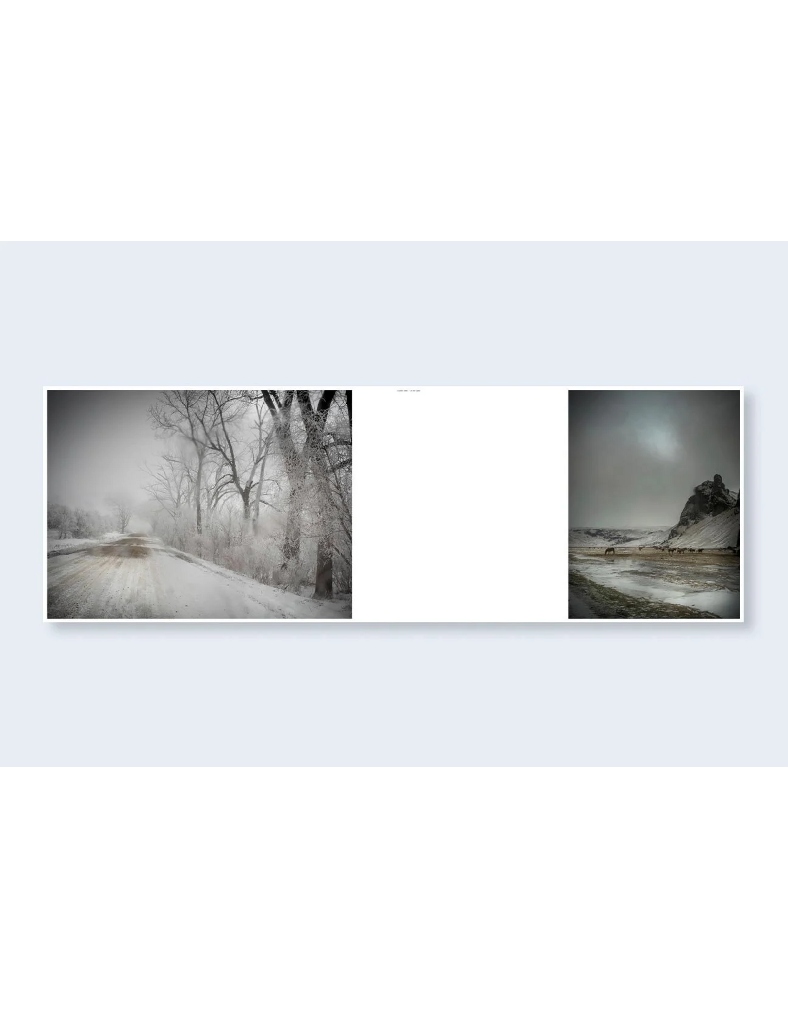 Nazraeli Press Todd Hido: The End Sends Advance Warning