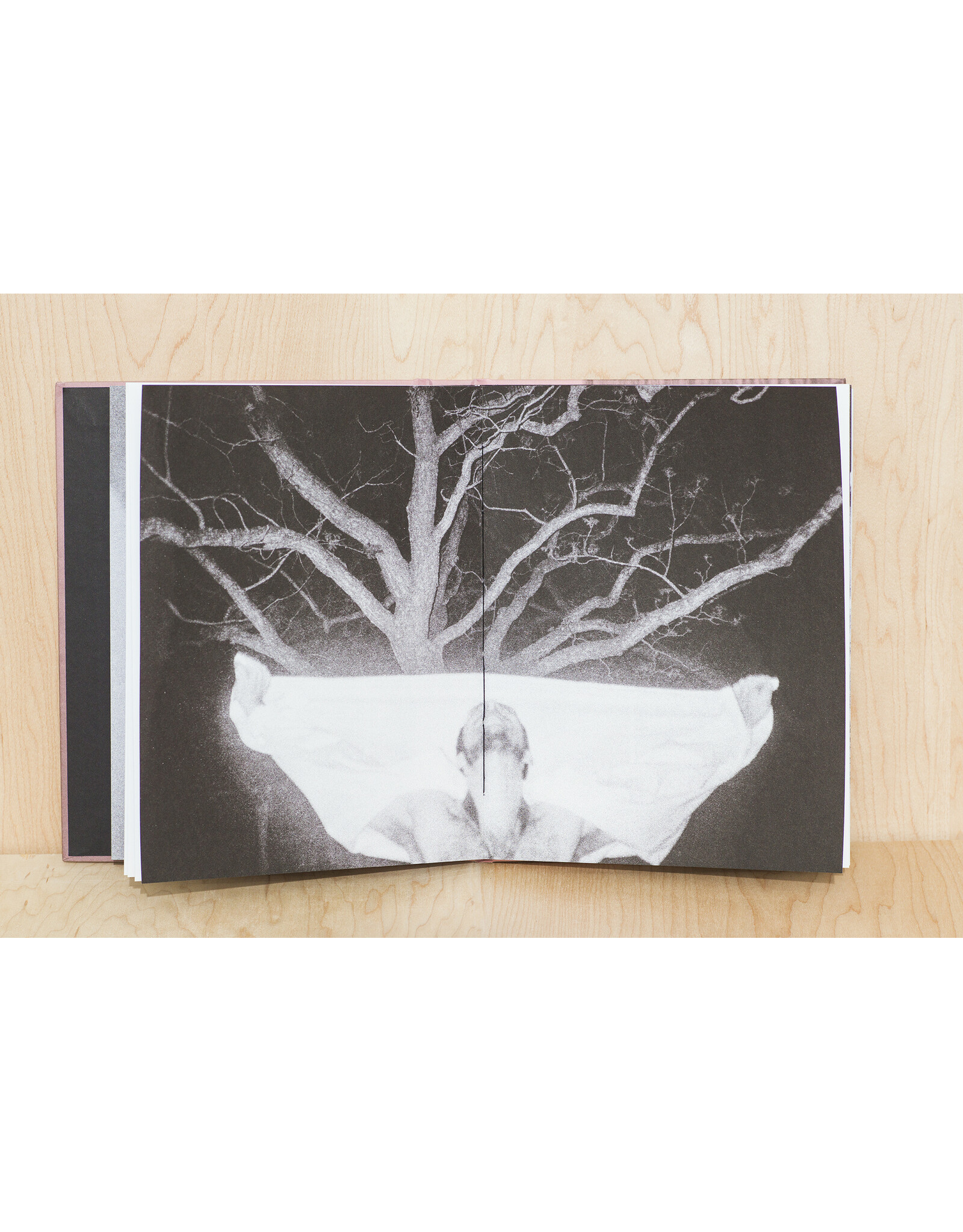 Trophy Press Ben Sklar: Tender Brother Limbo