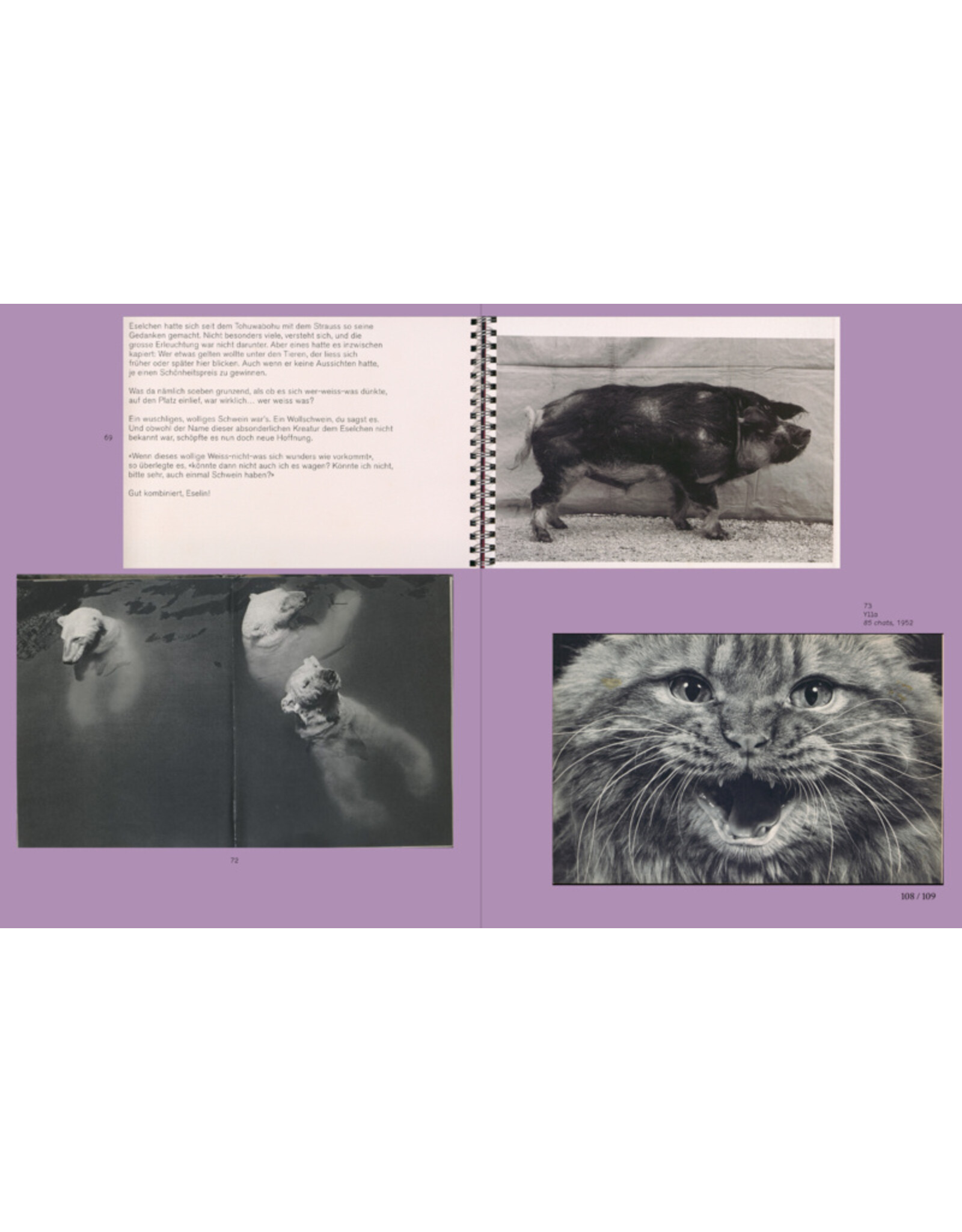 Spector Anne Lacoste & Rose Durr: L is for Look