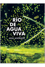 taller california Ana Andrade: Río de agua viva