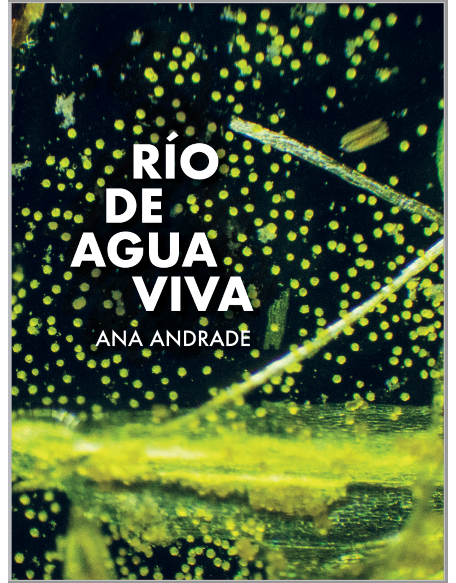 taller california Ana Andrade: Río de agua viva