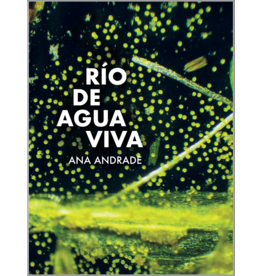 taller california Ana Andrade: Río de agua viva