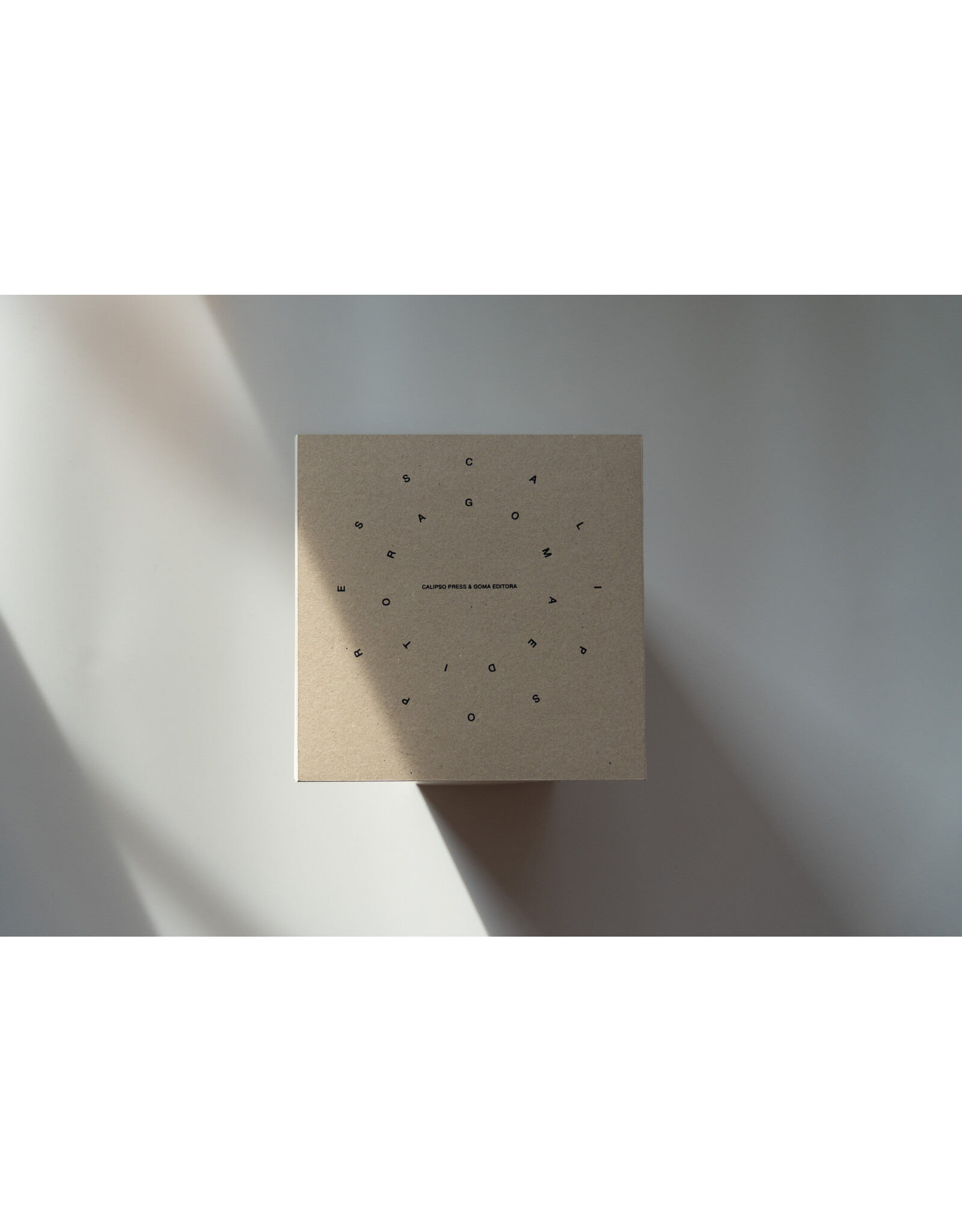 Calipso Press Suwon Lee: How To Measure Time