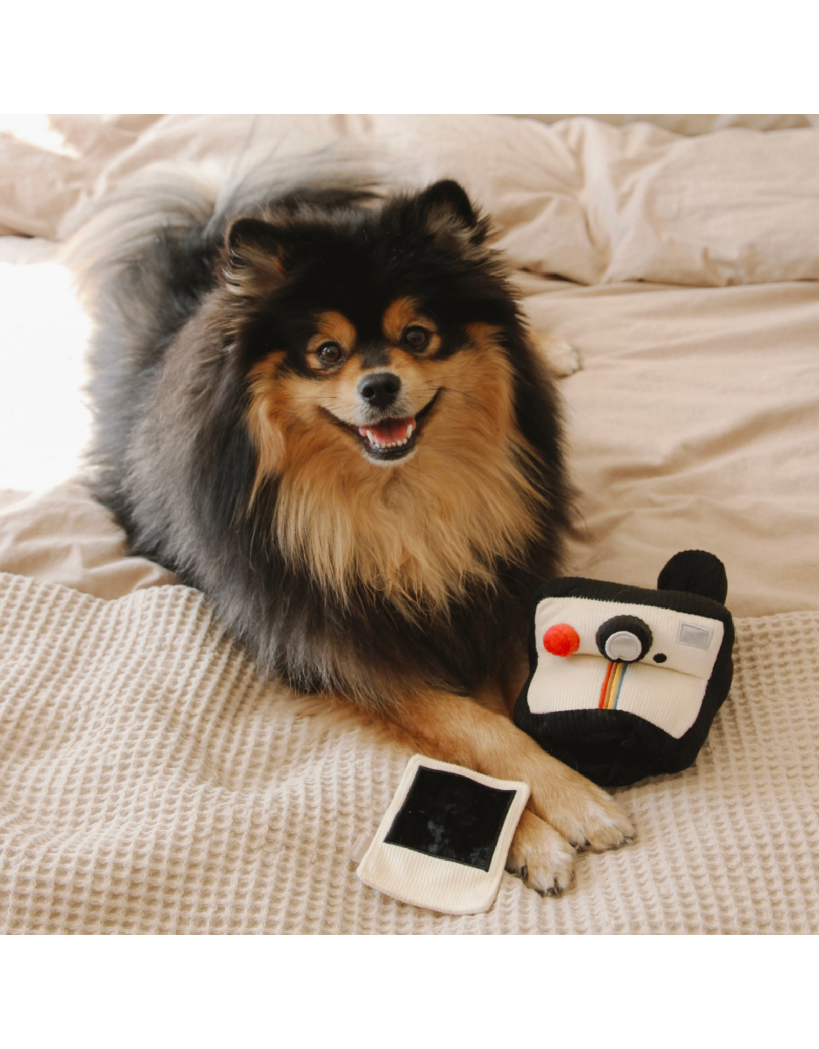 Lambwolf Collective Instant Camera Dog Toy
