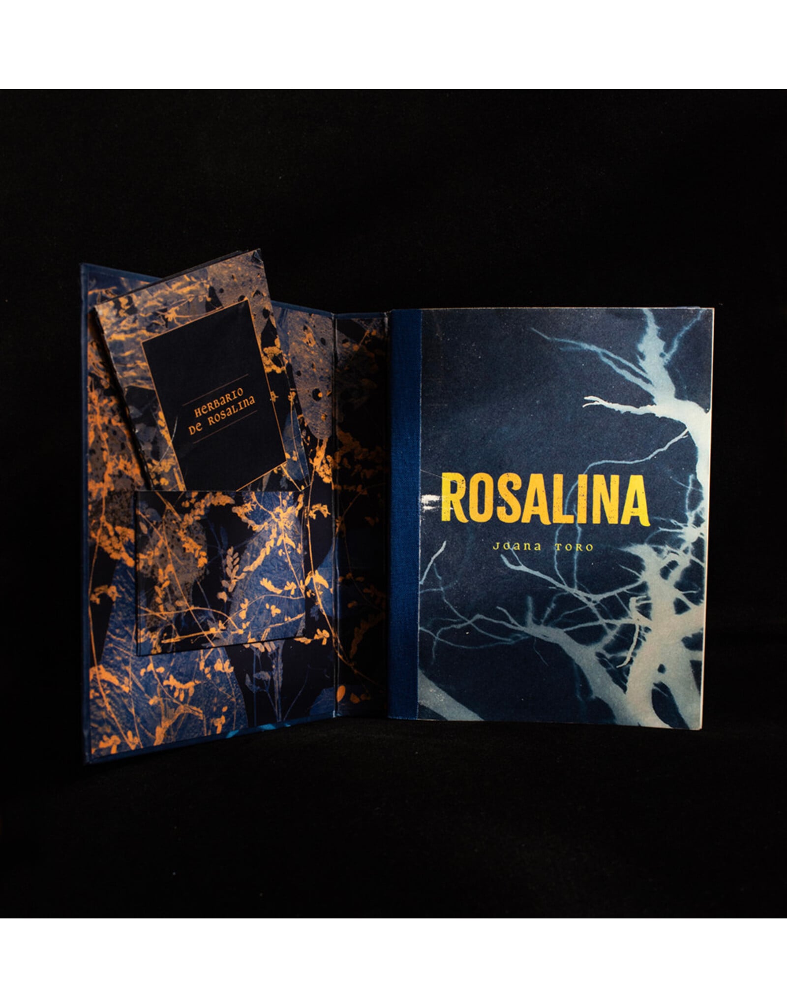 Joana Toro: Rosalina