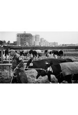 Focus Publishing Leonard Freed: Amsterdam The Sixties [signed]