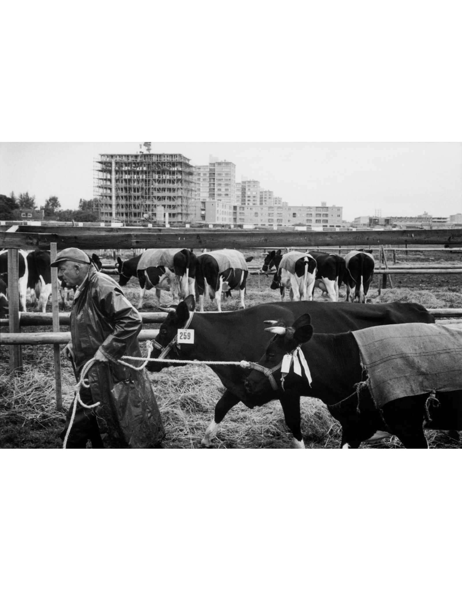 Focus Publishing Leonard Freed: Amsterdam The Sixties [signed]