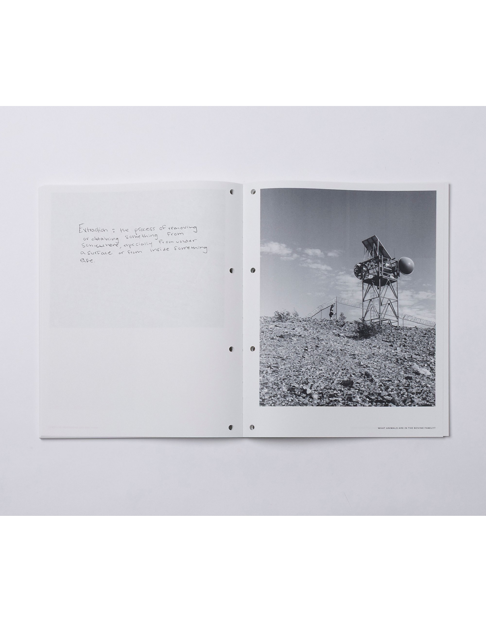 Samantha Jensen: Desert Notes