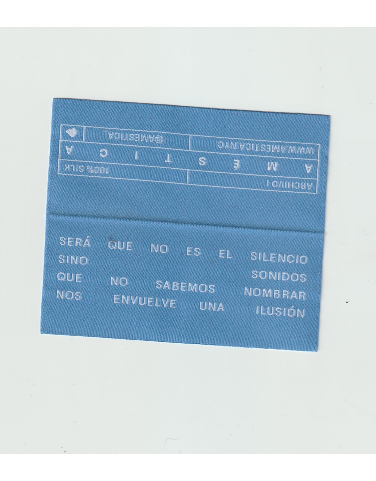 Amestica Valentina Amestica: ARCHIVO I Scarf