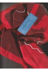 Amestica Valentina Amestica: ARCHIVO I Scarf
