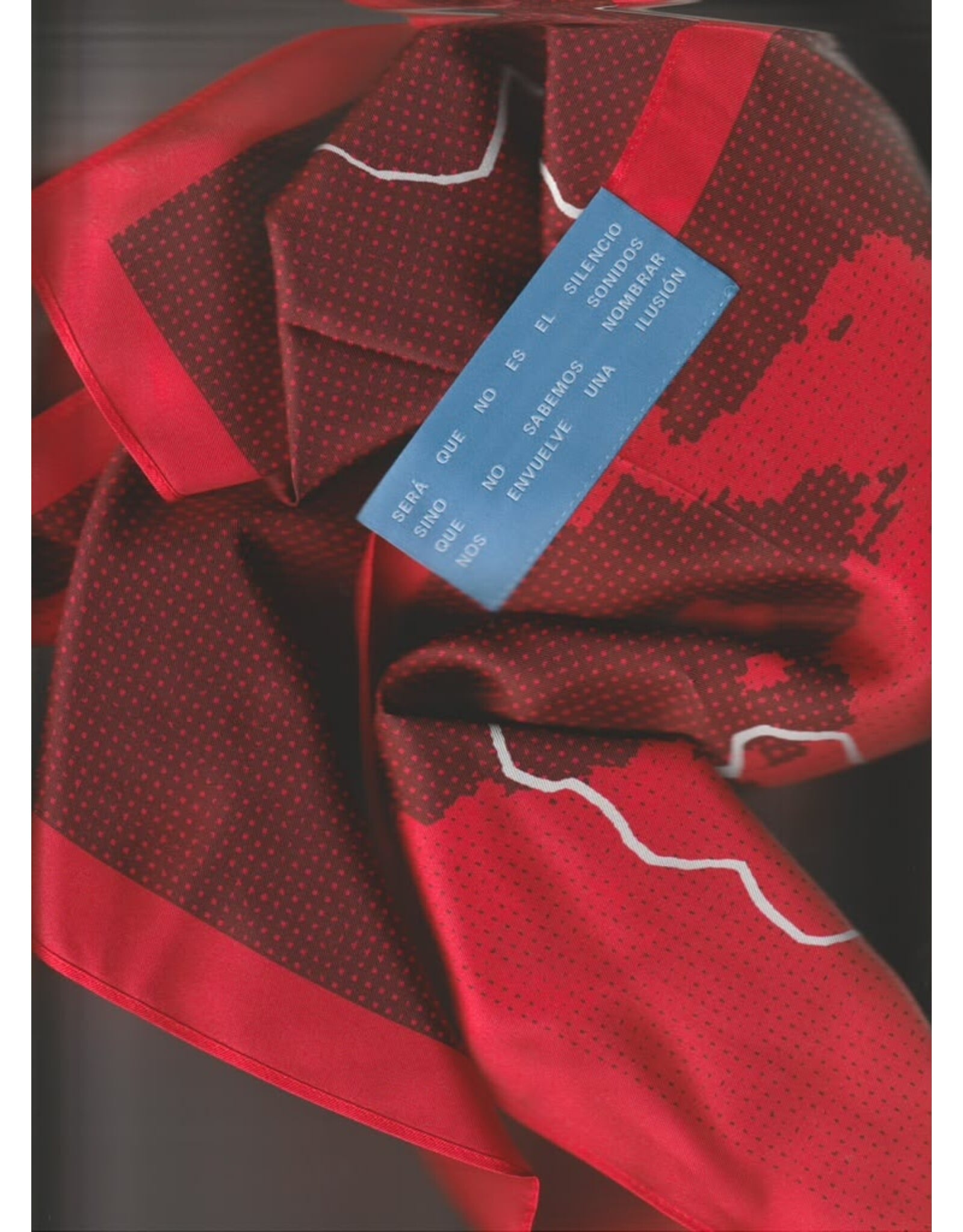 Amestica Valentina Amestica: ARCHIVO I Scarf