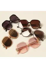 Sunglasses (assorted colors) + sleeve