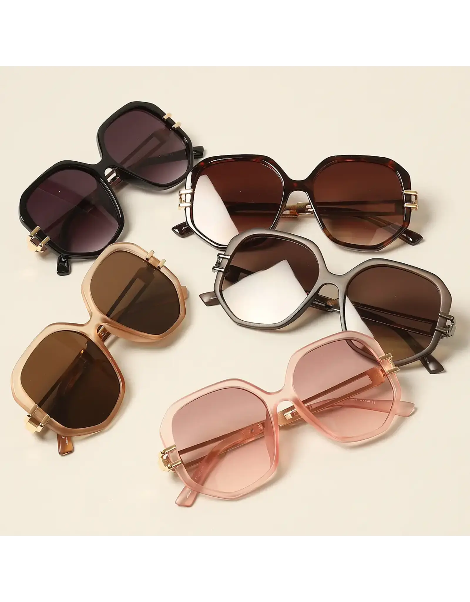 Sunglasses (assorted colors) + sleeve