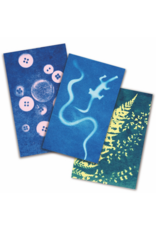 Noted Sunography - Color Cards