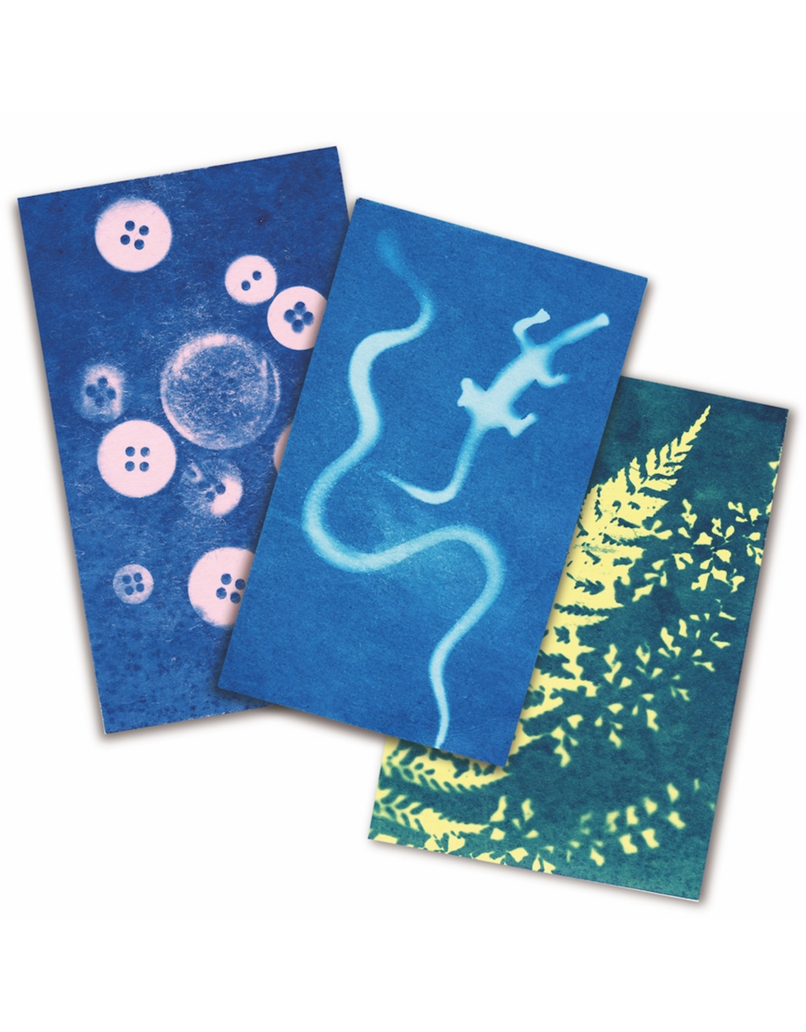 Noted Sunography - Color Cards