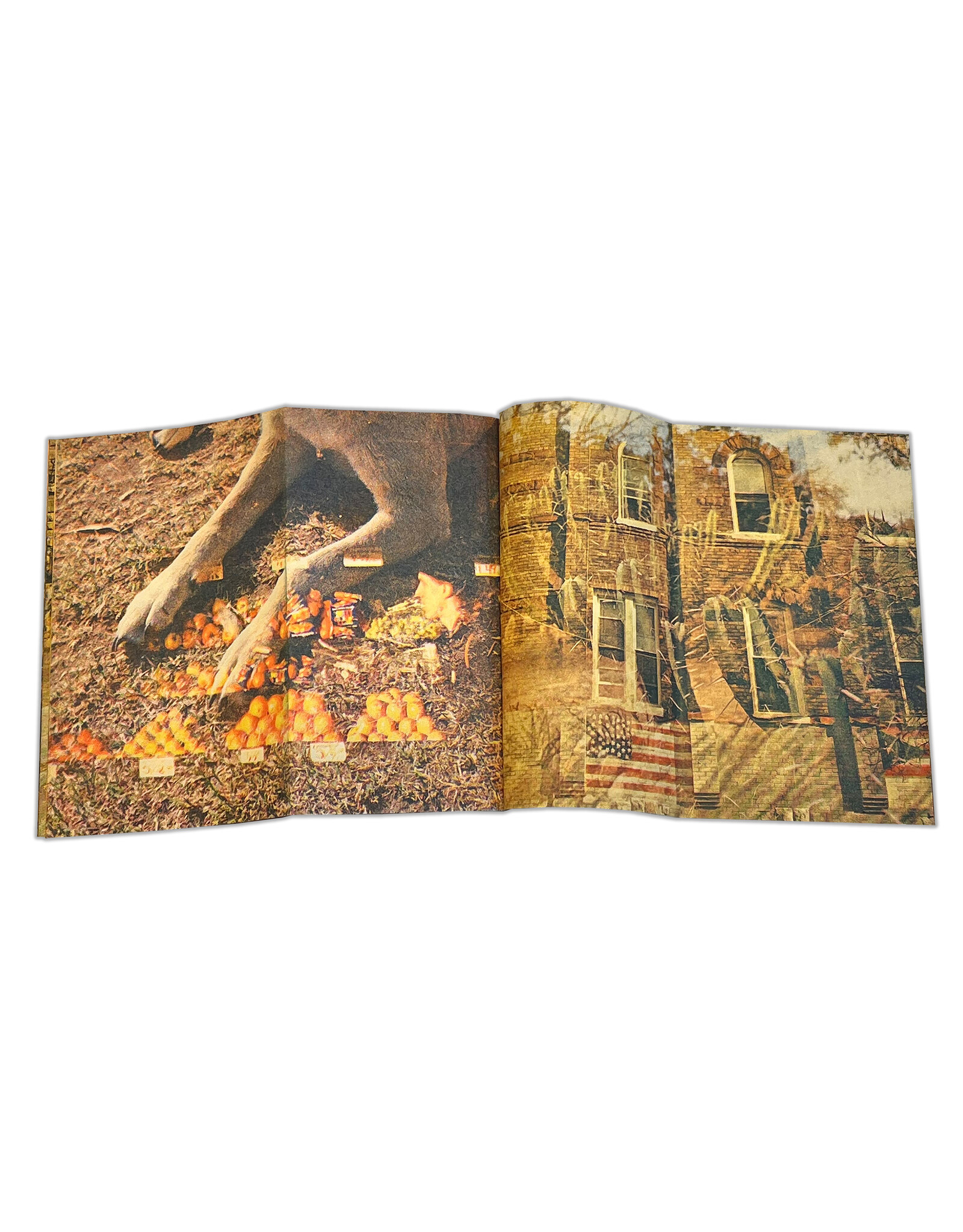 Gold Rain Oswaldo Garcia: Doble exposure