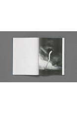 Loose Joints Sarah Chaplin Espenon: Blinded by Your Grace