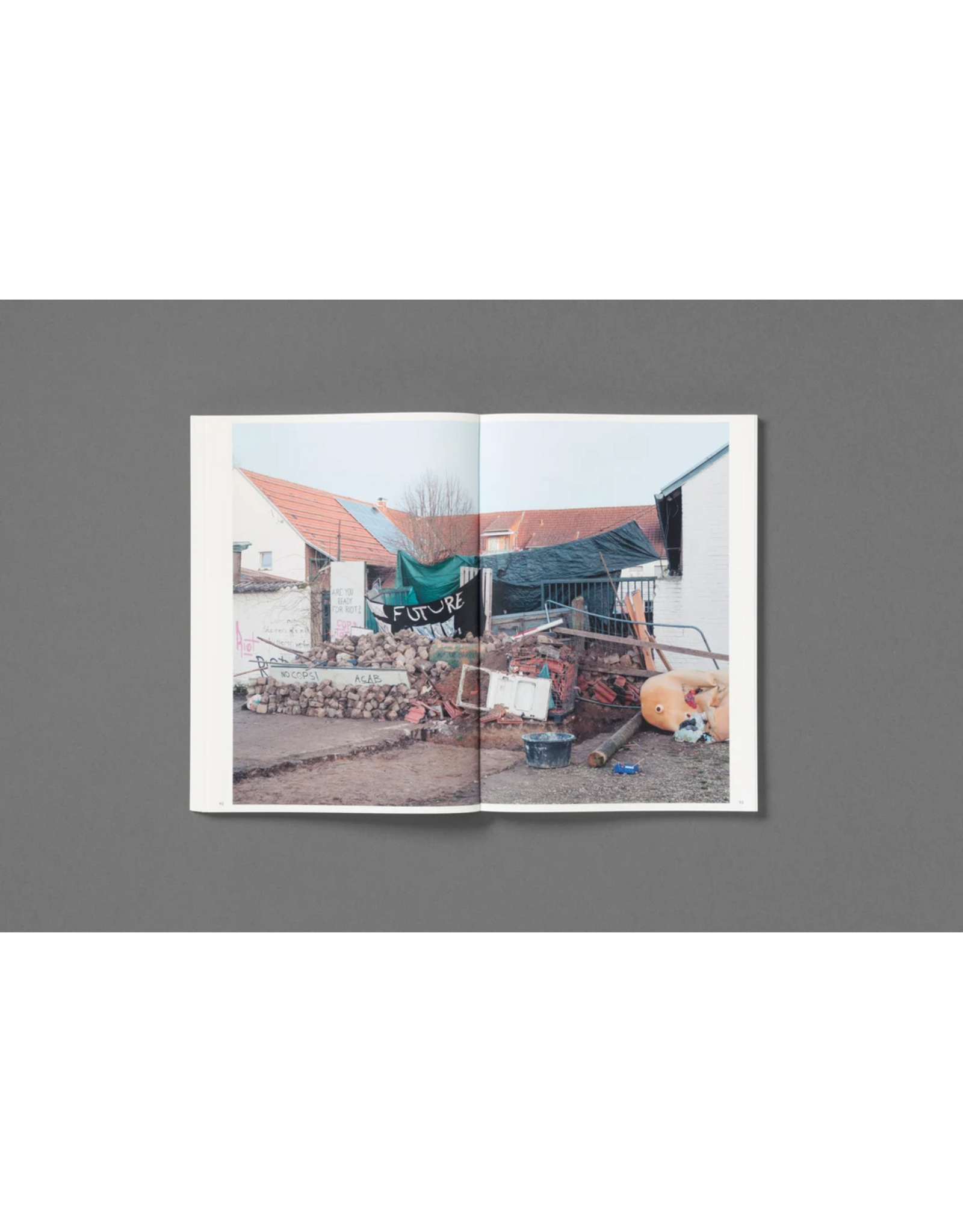 Loose Joints Michele Borzoni & Rocco Rorandelli: Silent Springs