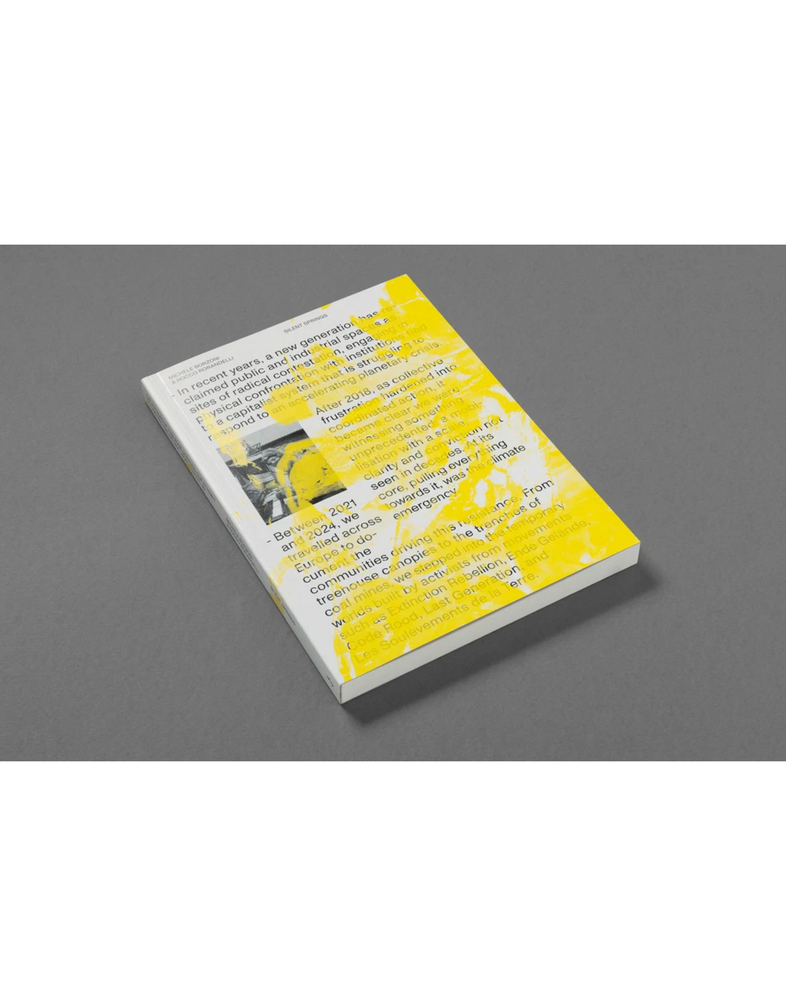 Loose Joints Michele Borzoni & Rocco Rorandelli: Silent Springs