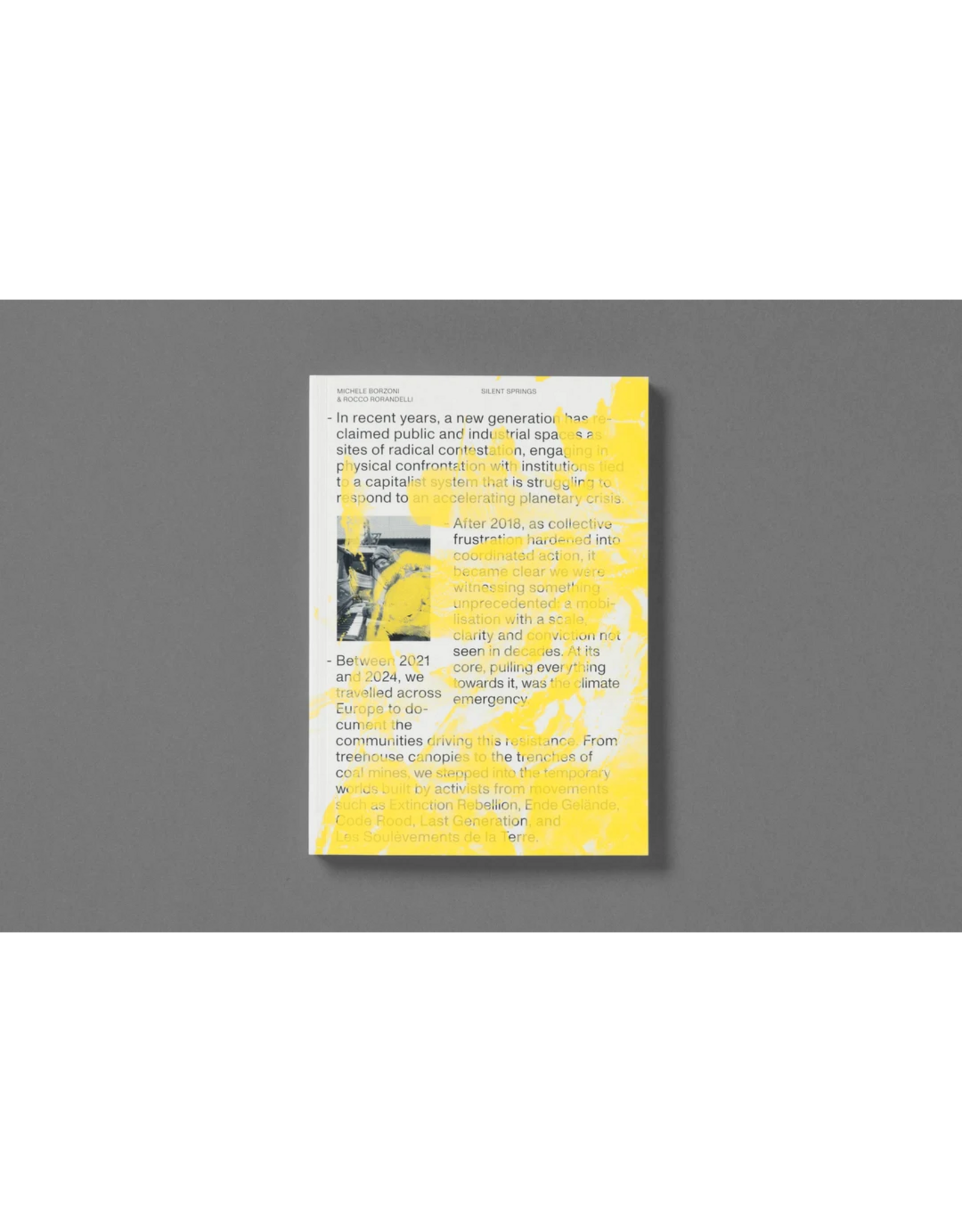 Loose Joints Michele Borzoni & Rocco Rorandelli: Silent Springs