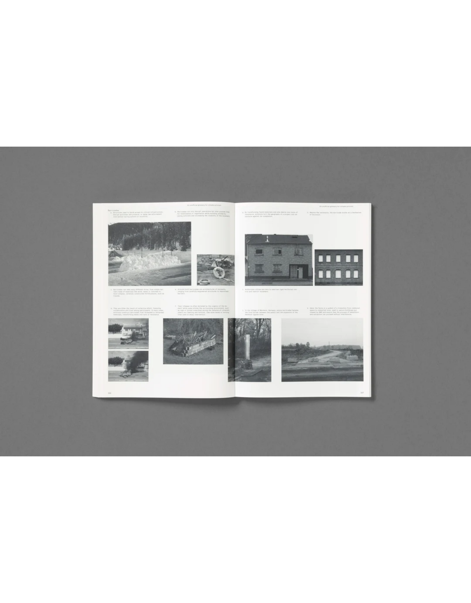 Loose Joints Michele Borzoni & Rocco Rorandelli: Silent Springs