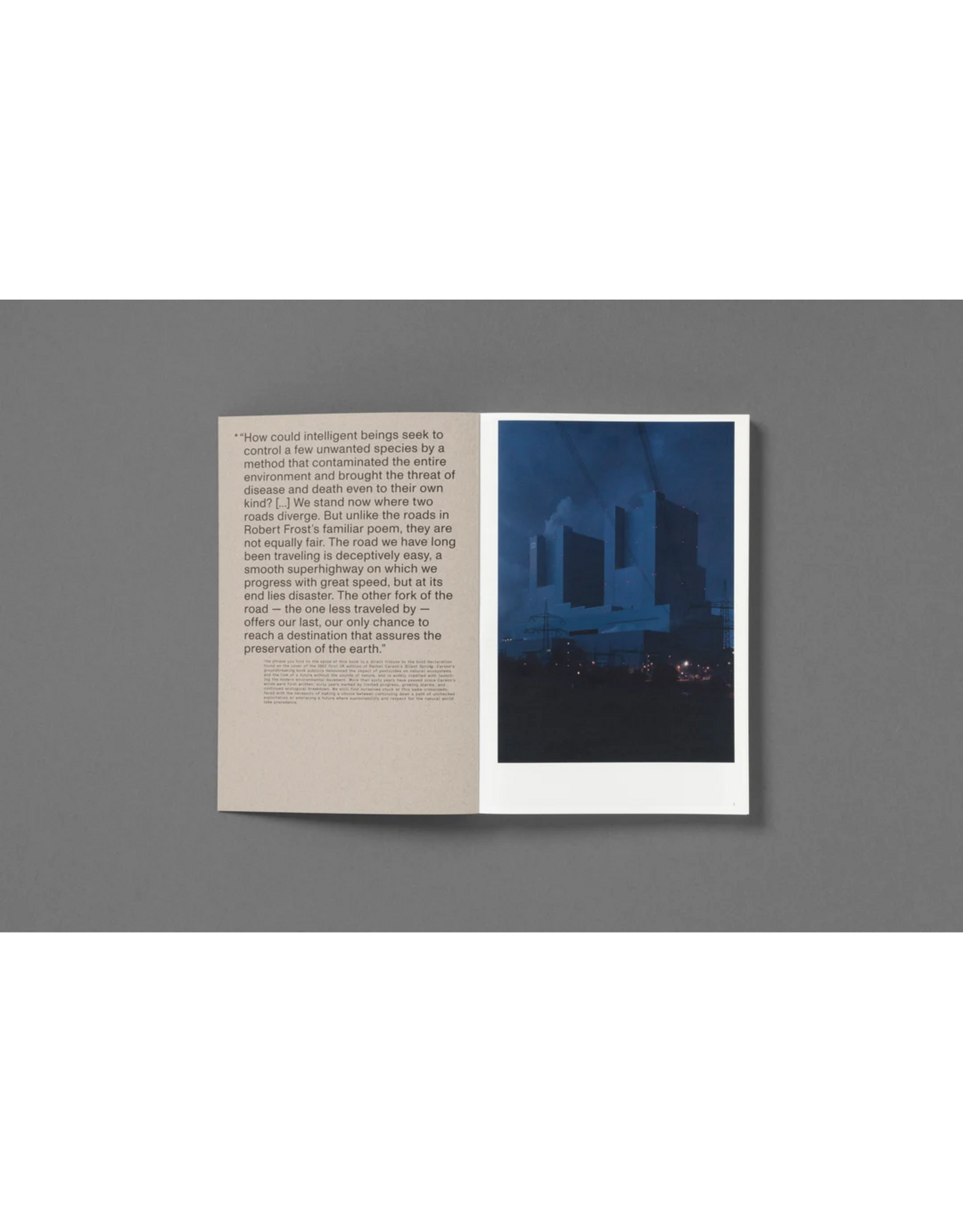 Loose Joints Michele Borzoni & Rocco Rorandelli: Silent Springs