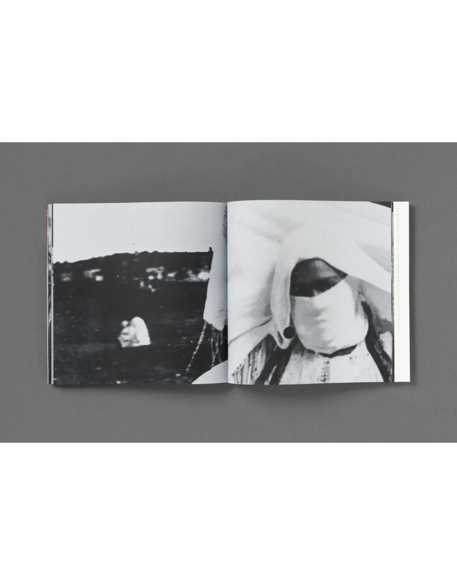 Loose Joints Hoda Afshar: The Fold