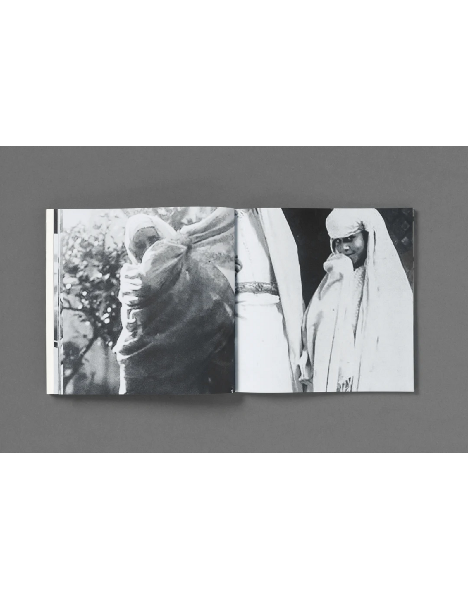 Loose Joints Hoda Afshar: The Fold