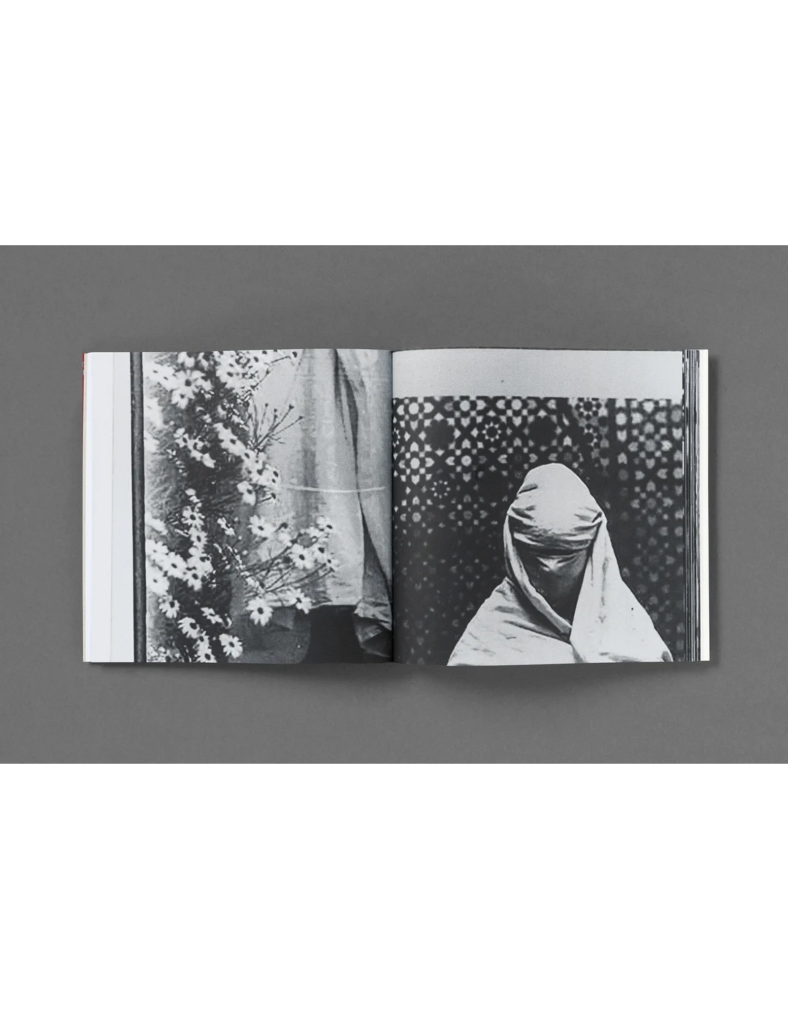 Loose Joints Hoda Afshar: The Fold