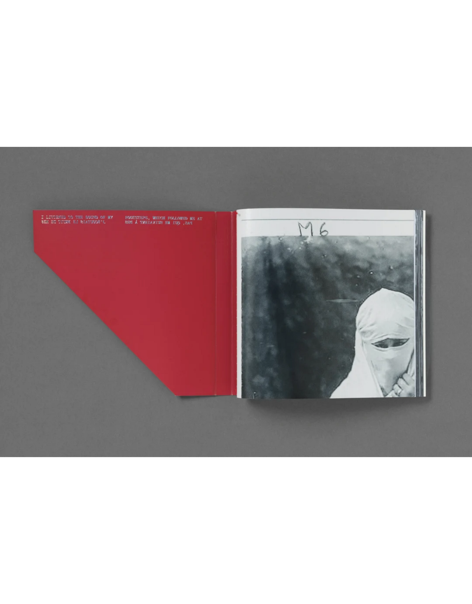 Loose Joints Hoda Afshar: The Fold