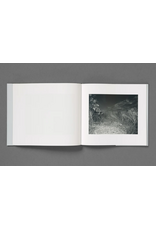 Loose Joints Aria Shahrokhshahi: Wet Ground