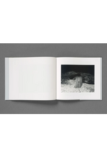 Loose Joints Aria Shahrokhshahi: Wet Ground