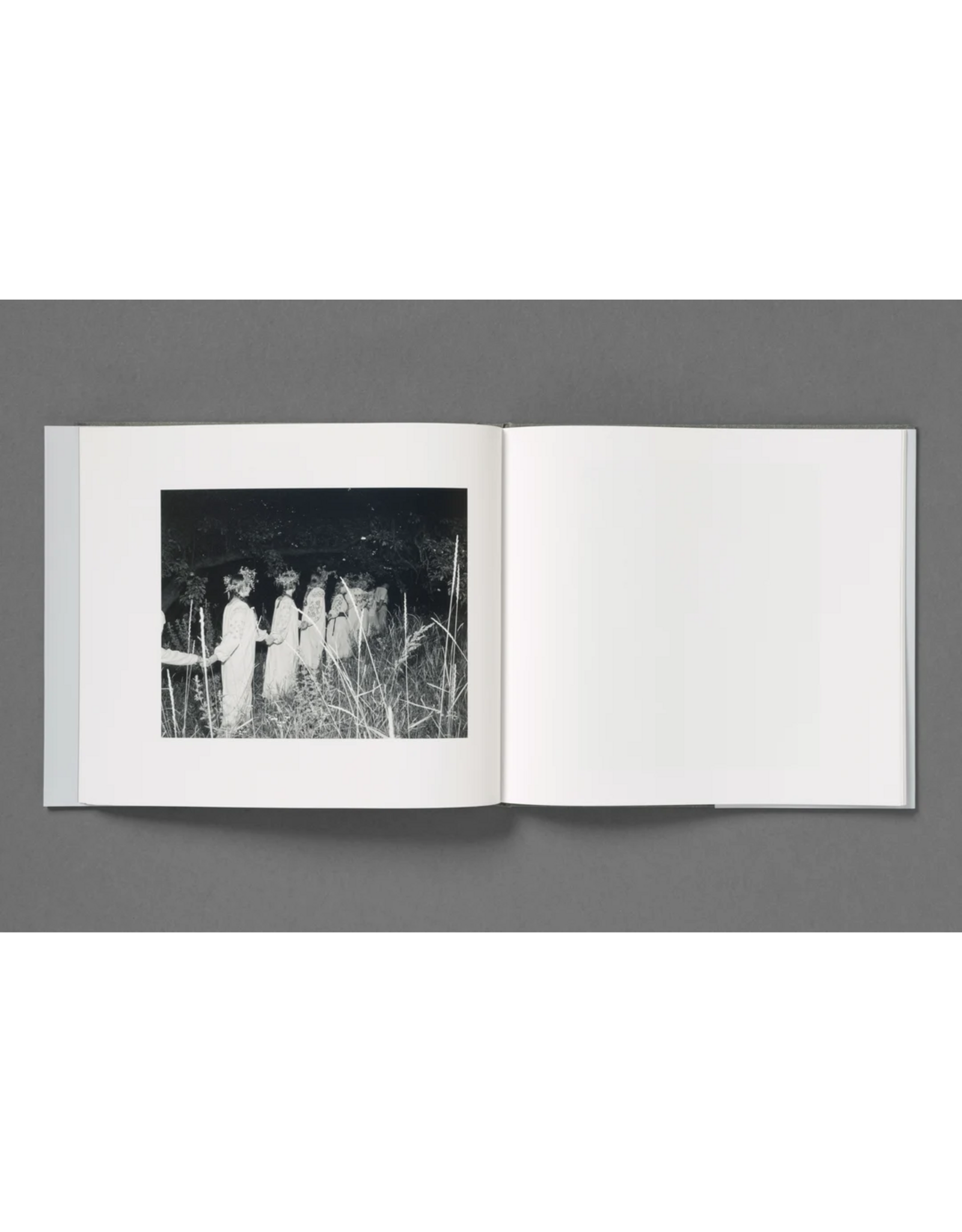 Loose Joints Aria Shahrokhshahi: Wet Ground