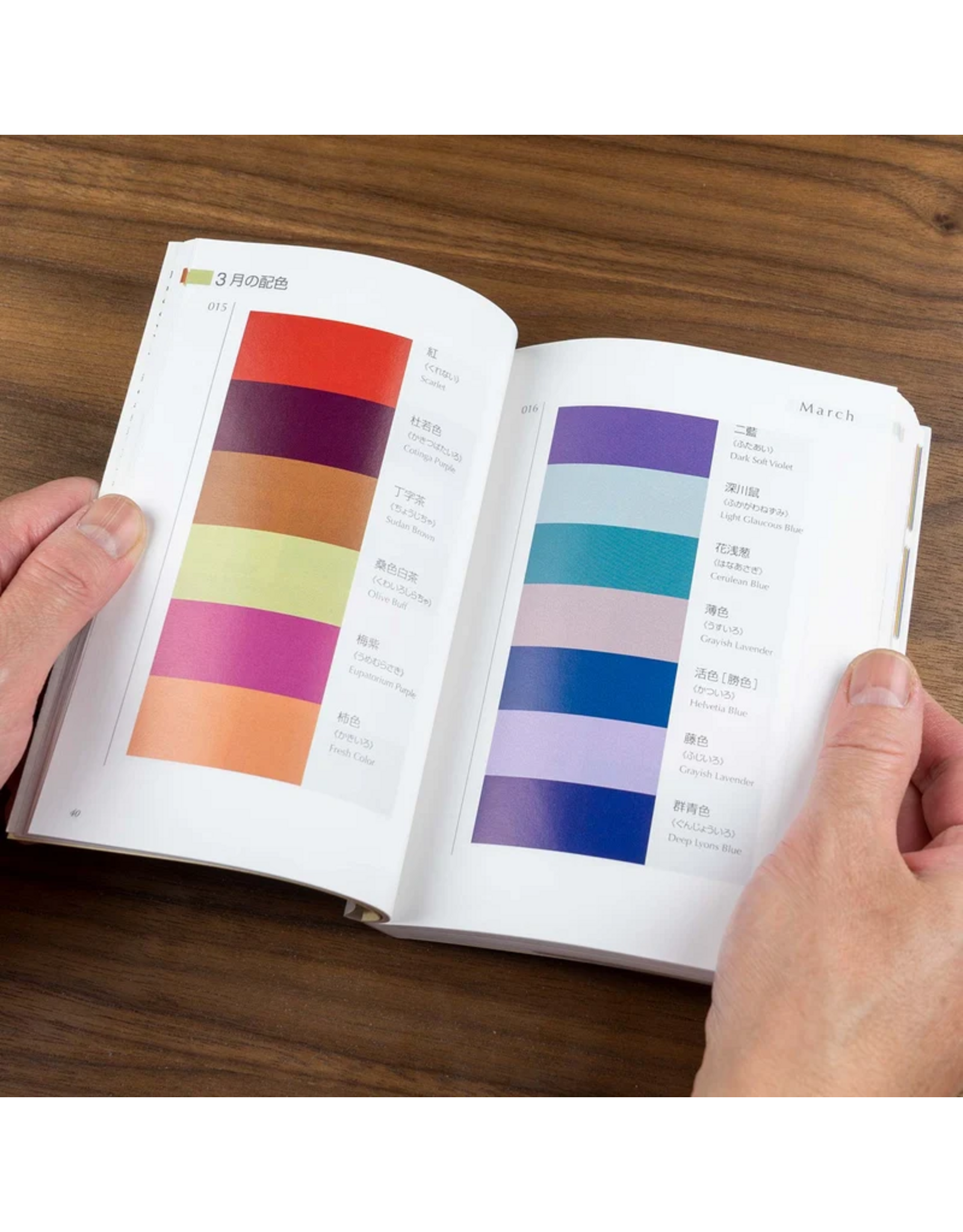 Dictionary of Color Combinations Vol. 2