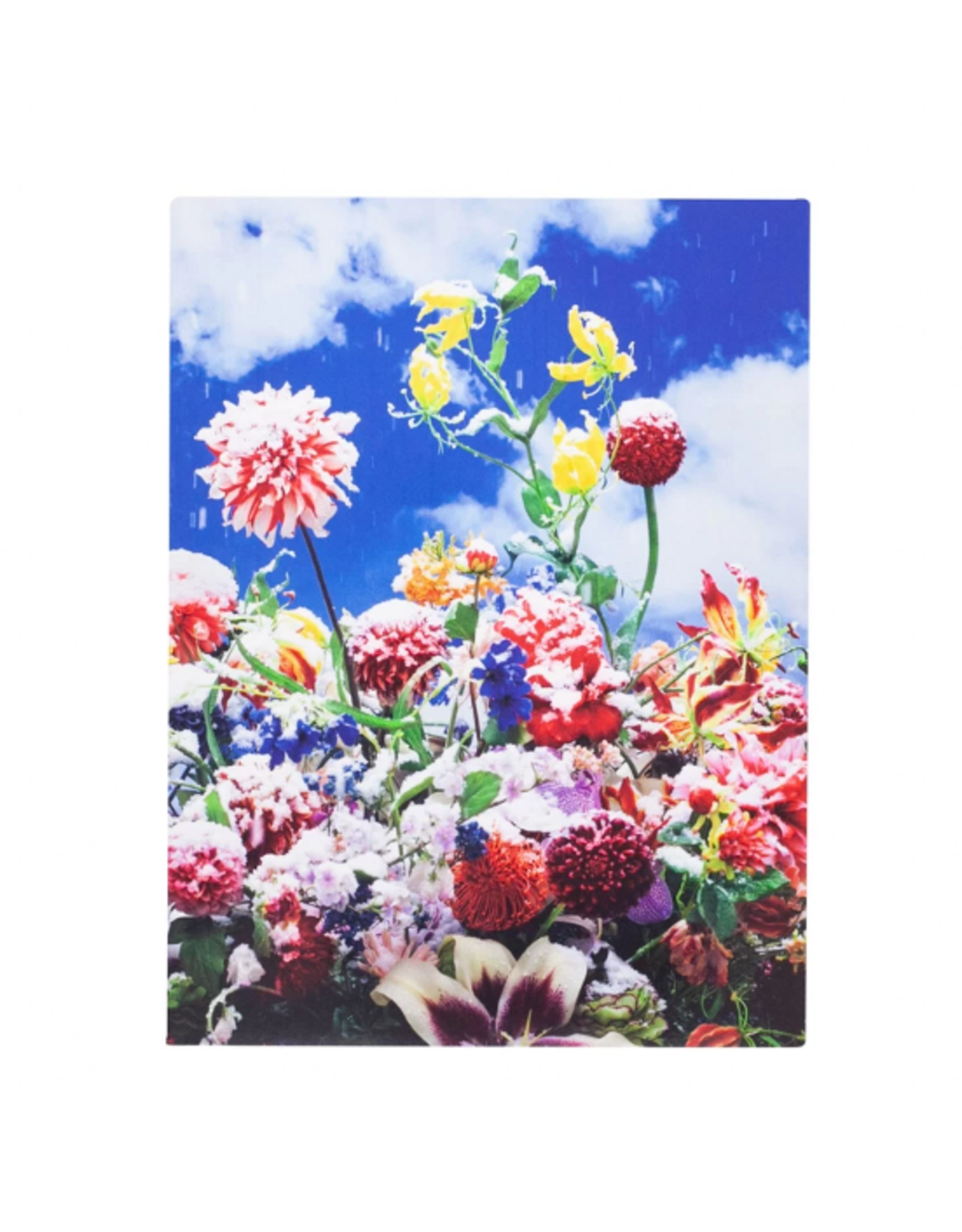 Akio Nagasawa Publishing Mika Ninagawa: Eternity in a Moment Vol. 1