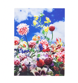 Akio Nagasawa Publishing Mika Ninagawa: Eternity in a Moment Vol. 1