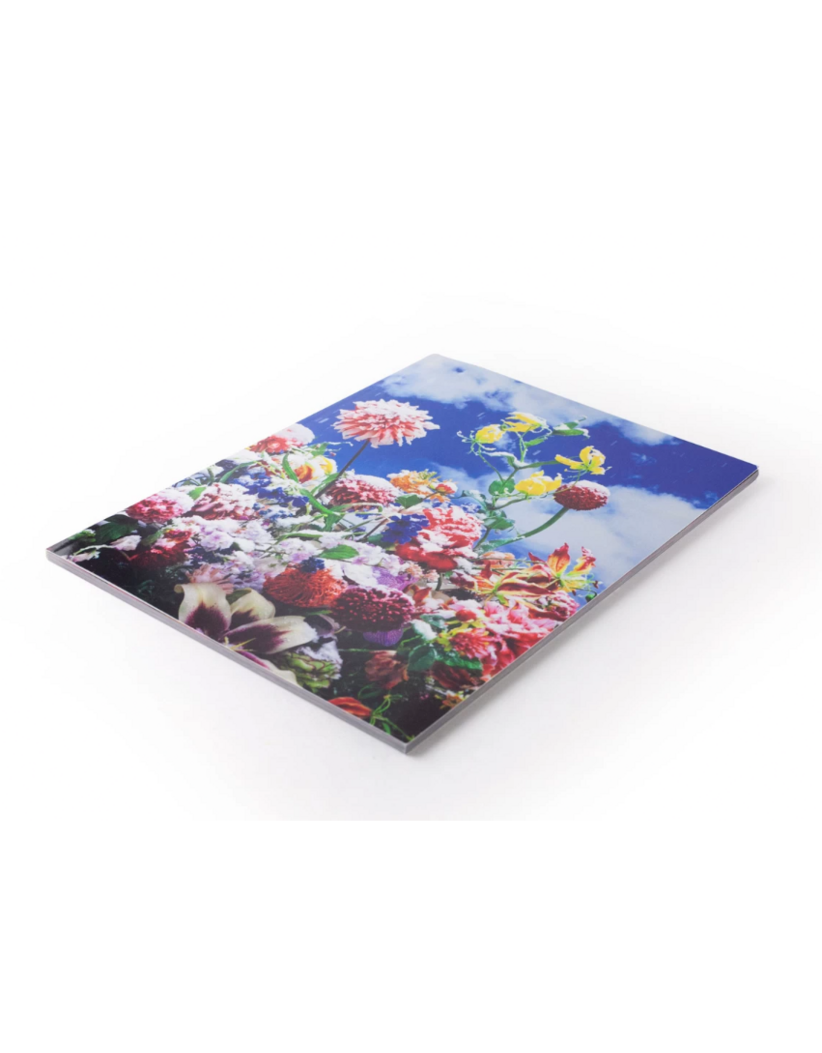 Akio Nagasawa Publishing Mika Ninagawa: Eternity in a Moment Vol. 1