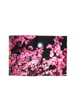Akio Nagasawa Publishing Mika Ninagawa: Eternity in a Moment Vol. 1