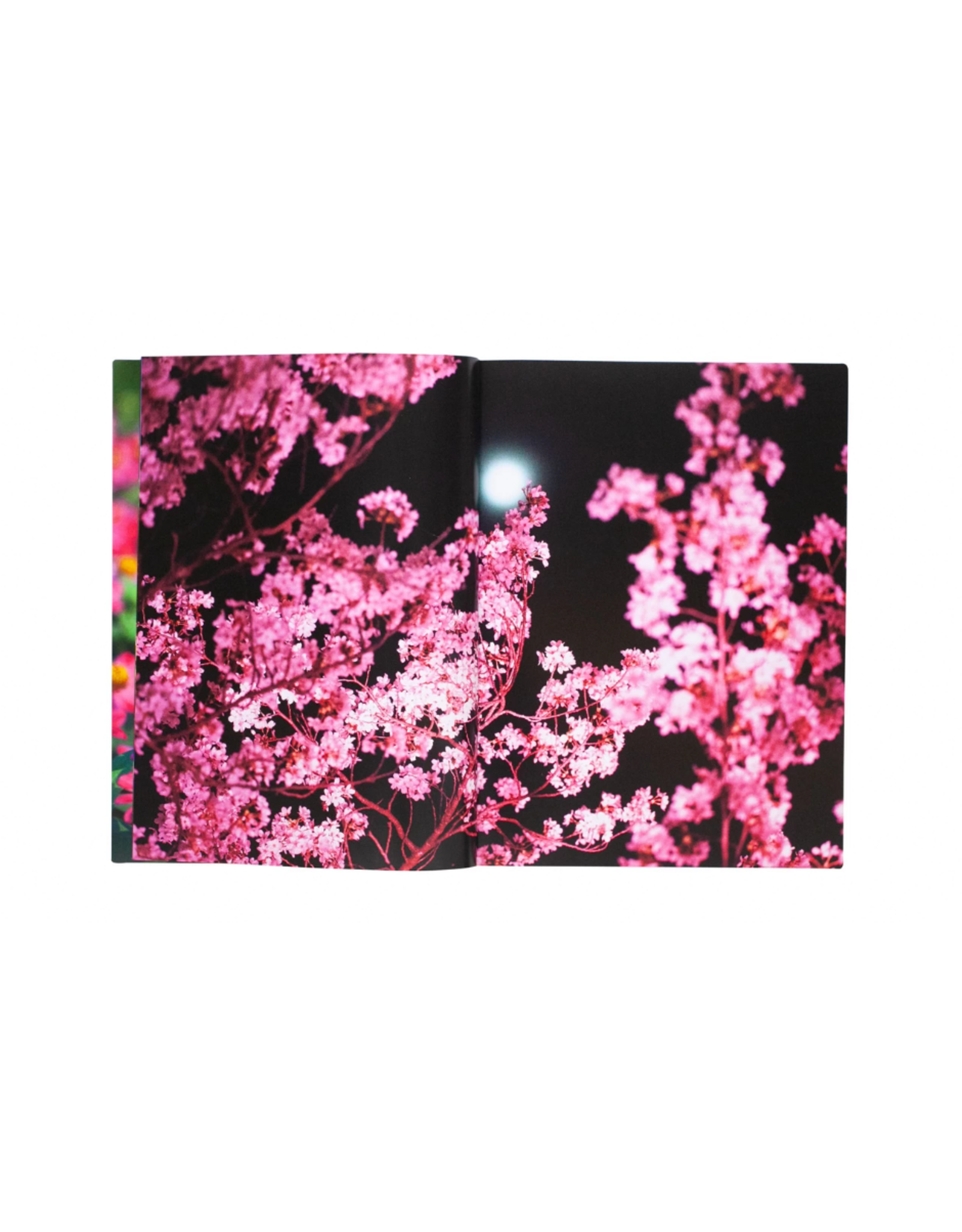 Akio Nagasawa Publishing Mika Ninagawa: Eternity in a Moment Vol. 1