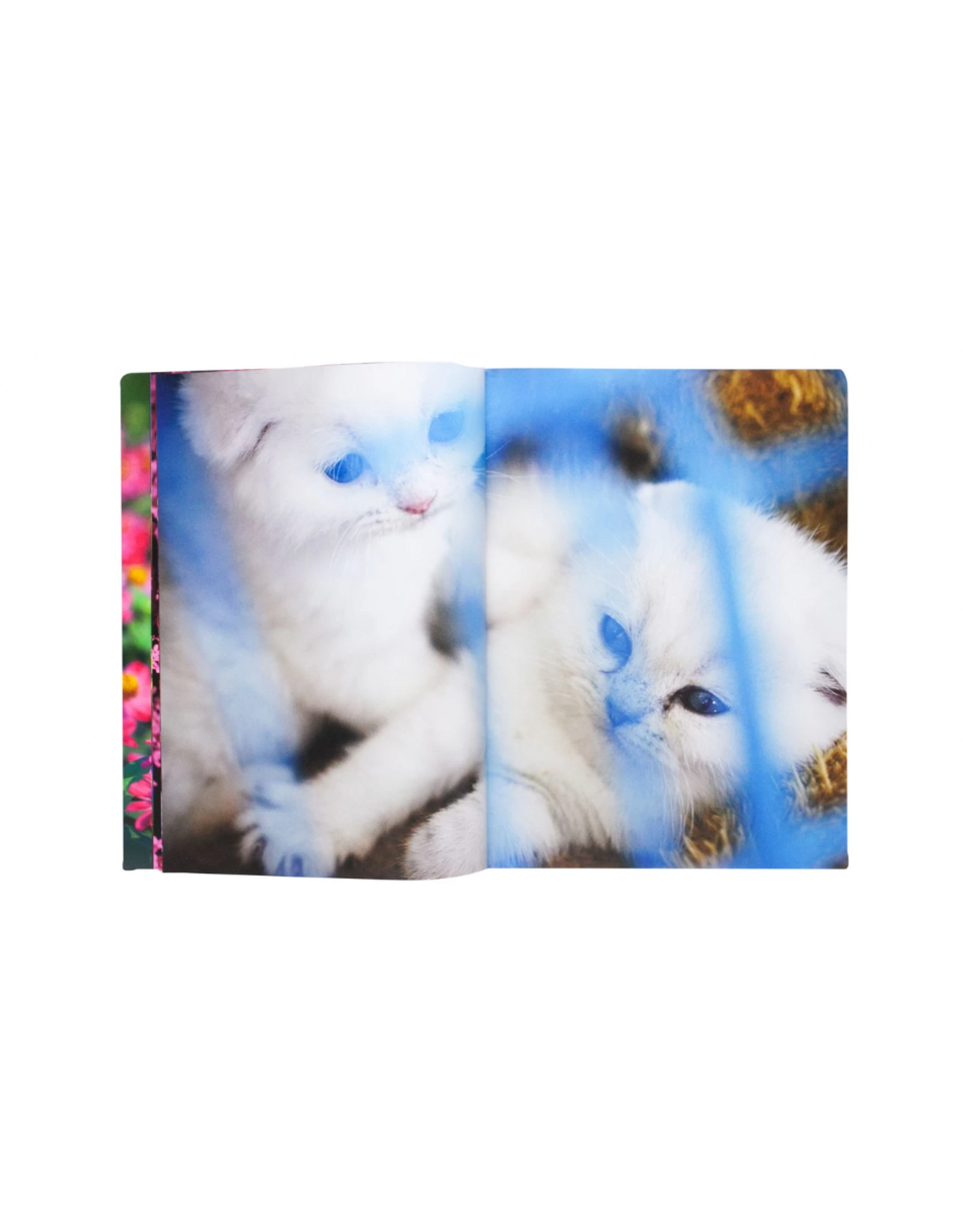 Akio Nagasawa Publishing Mika Ninagawa: Eternity in a Moment Vol. 1