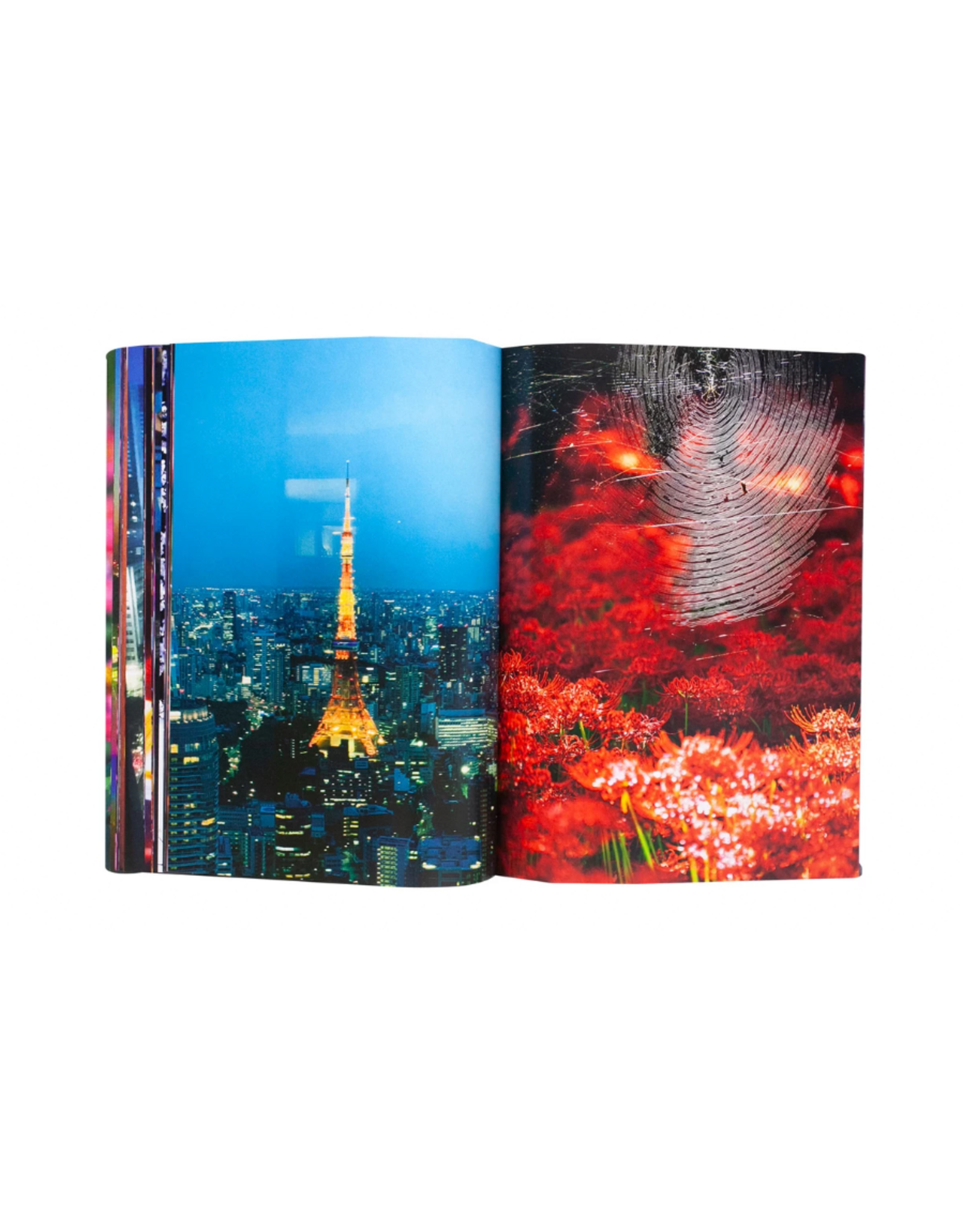 Akio Nagasawa Publishing Mika Ninagawa: Eternity in a Moment Vol. 1