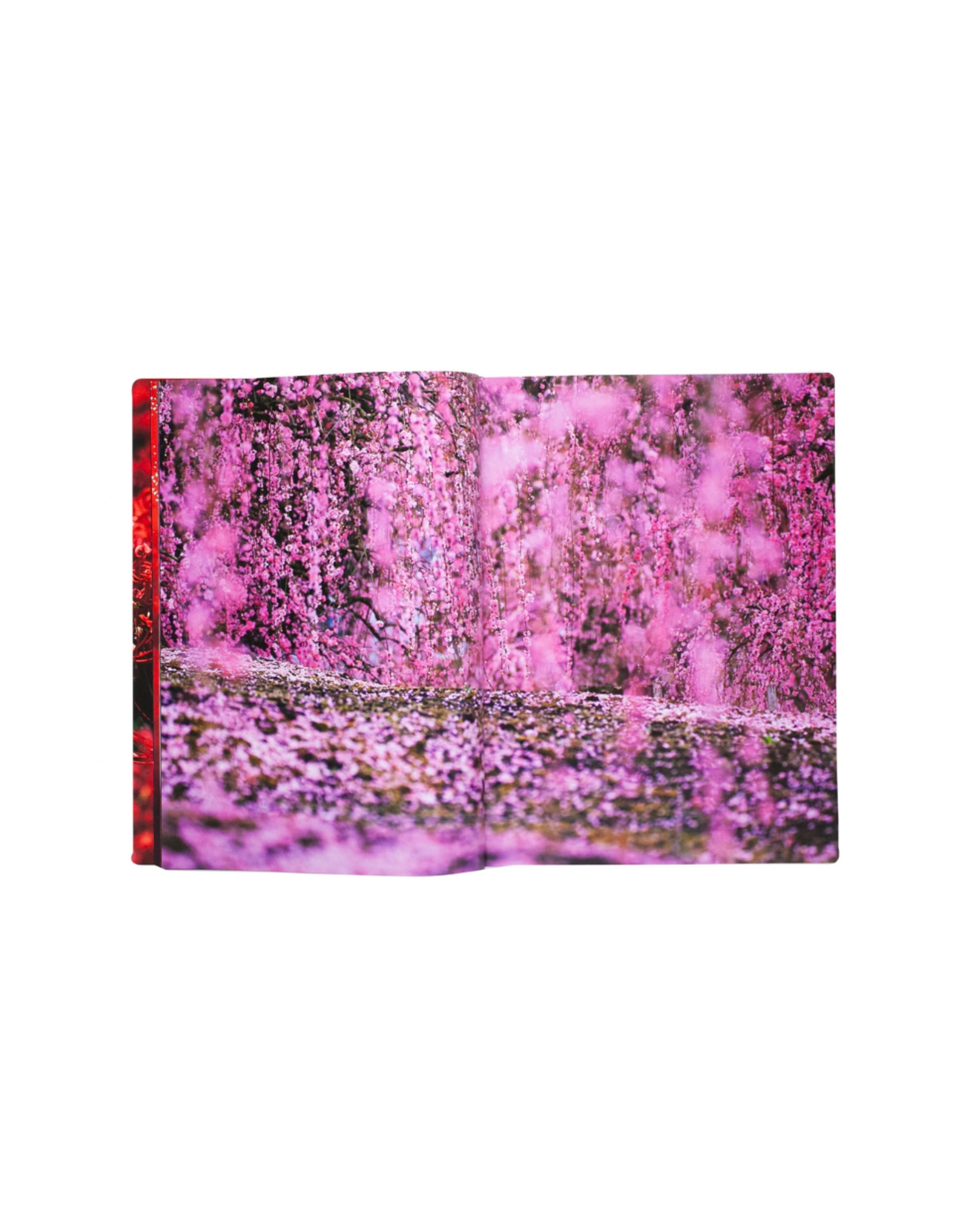 Akio Nagasawa Publishing Mika Ninagawa: Eternity in a Moment Vol. 2