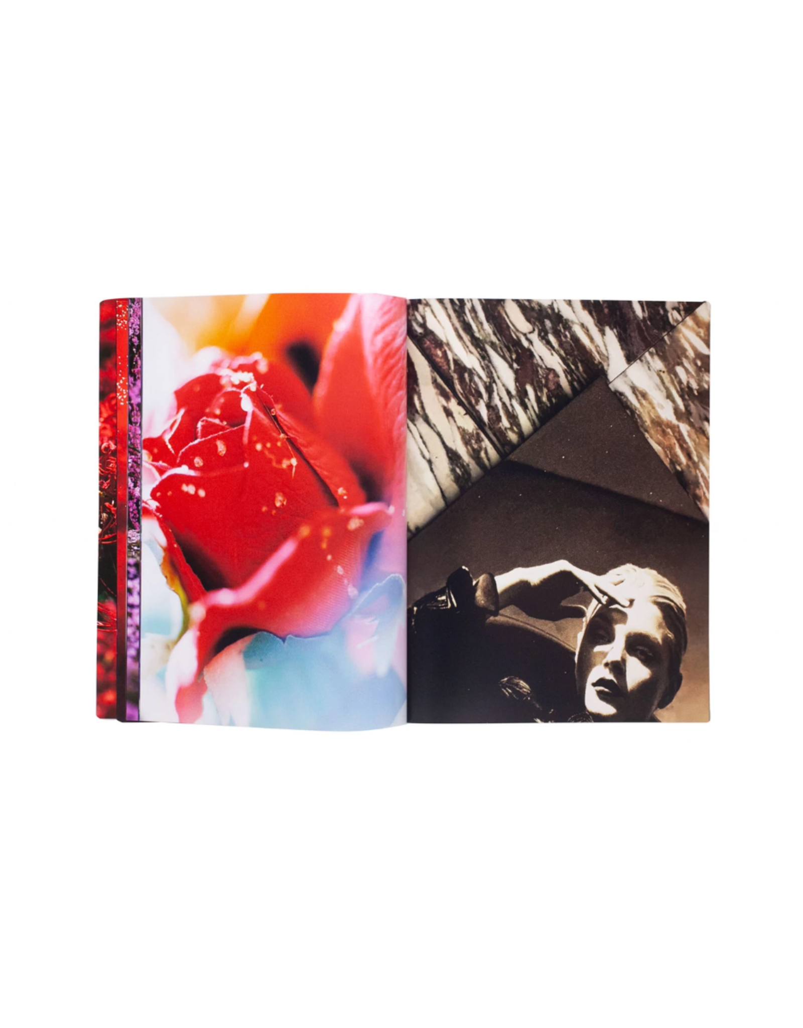 Akio Nagasawa Publishing Mika Ninagawa: Eternity in a Moment Vol. 2