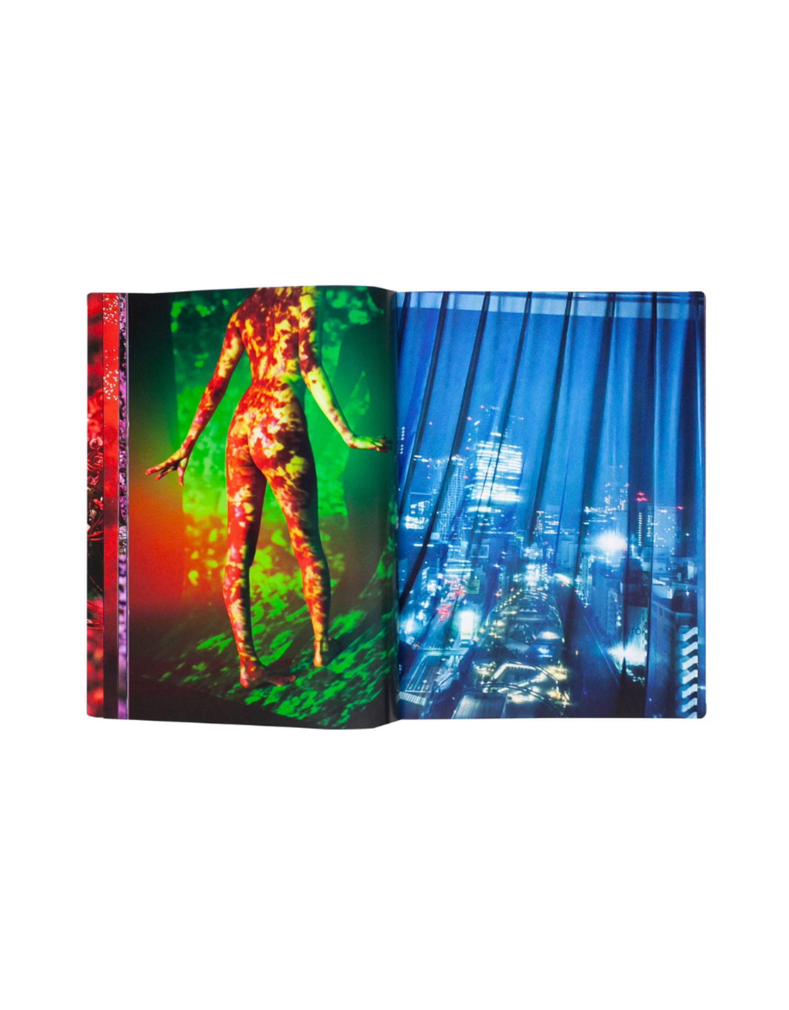 Akio Nagasawa Publishing Mika Ninagawa: Eternity in a Moment Vol. 2