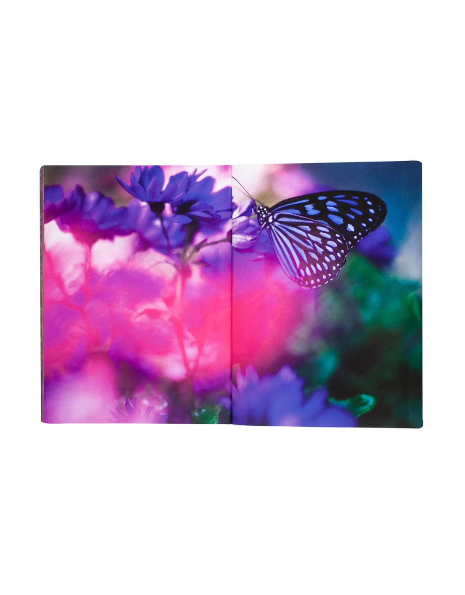 Akio Nagasawa Publishing Mika Ninagawa: Eternity in a Moment Vol. 2